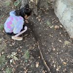 Montessori,Montessori outdoor,éducation en plein air,apprendre dehors.,Montessori en extérieur,activités Montessori nature,Montessori extérieur,activités nature enfants,jardin pédagogique,éducation nature balcon,Montessori en ville,petit jardin enfant,pédagogie Montessori outdoor.,jardinage enfant Montessori,nature et apprentissage,activités sensorielles Montessori,biodiversité urbaine enfants.