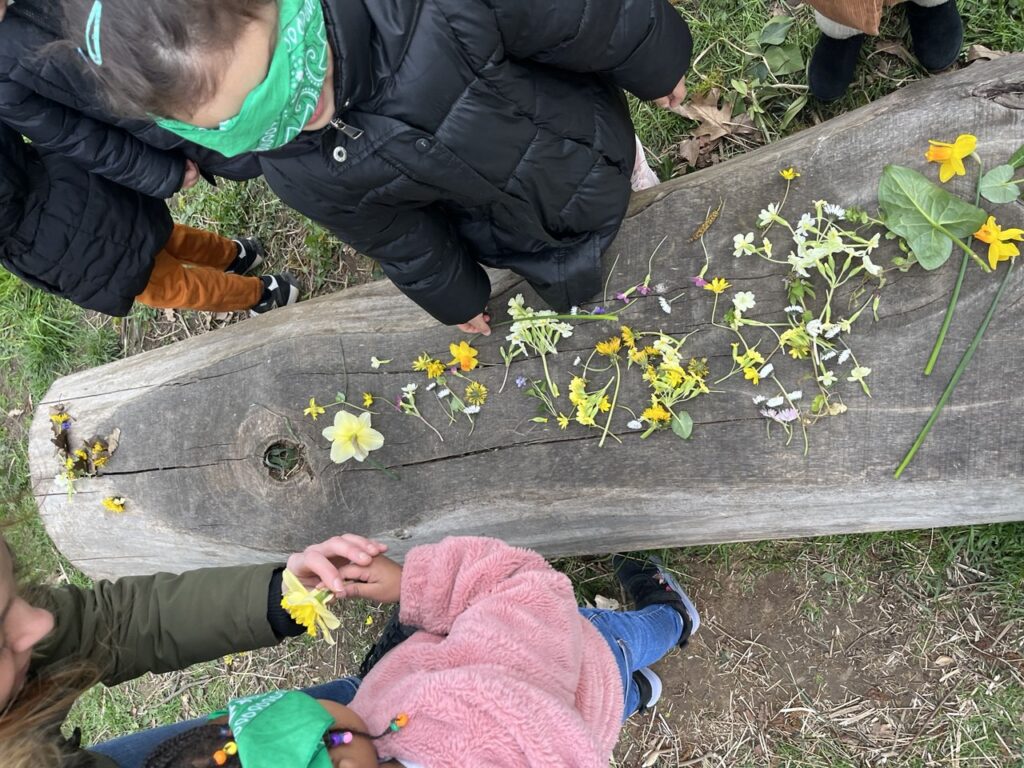 Montessori,plein air,guide