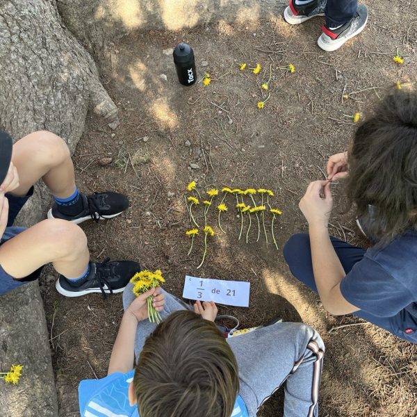 photo_2024-05-30_11-11-35 photo_2024-05-30_11-11-35